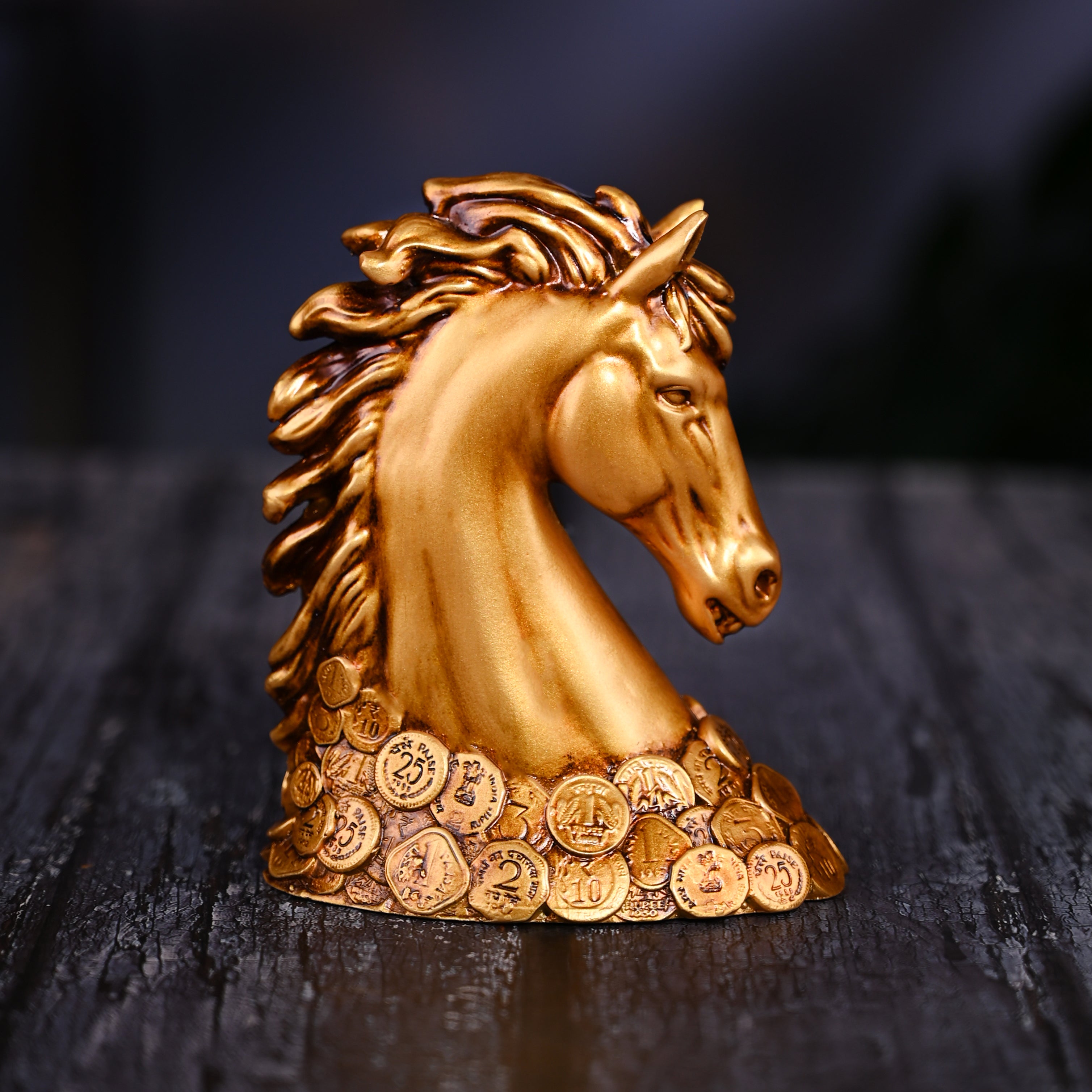 New Coin Horse Head
