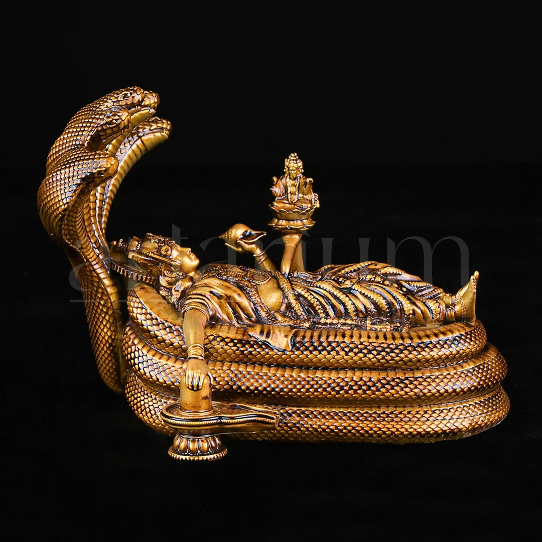 Sree Padmanabhaswamy Car Dashboard