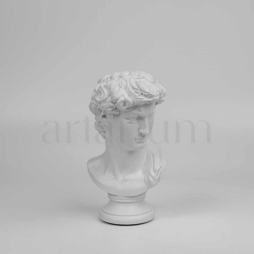 David’s Bust