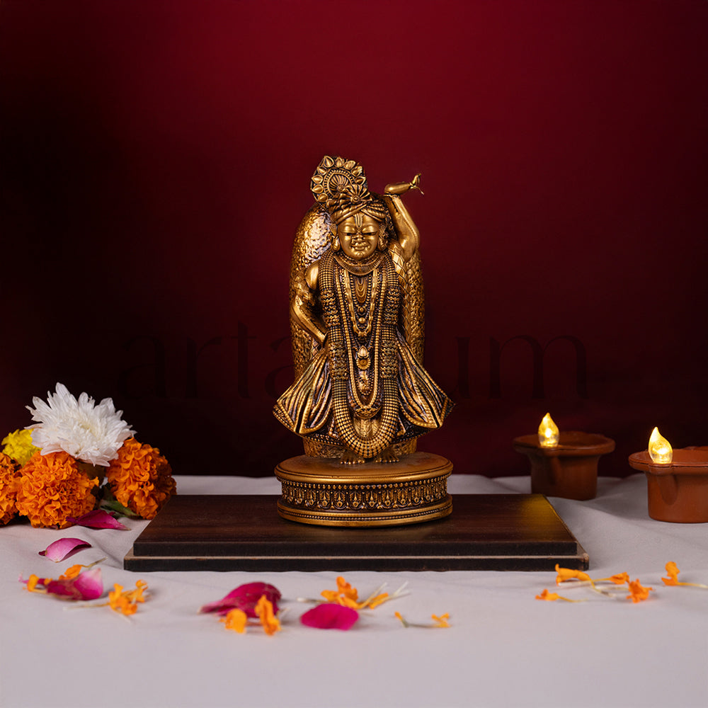 Shrinath Ji Murti